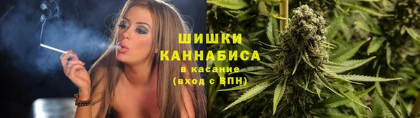 хмурый Дмитровск