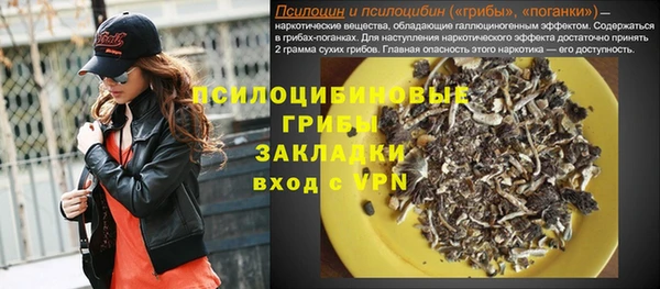 хмурый Дмитровск