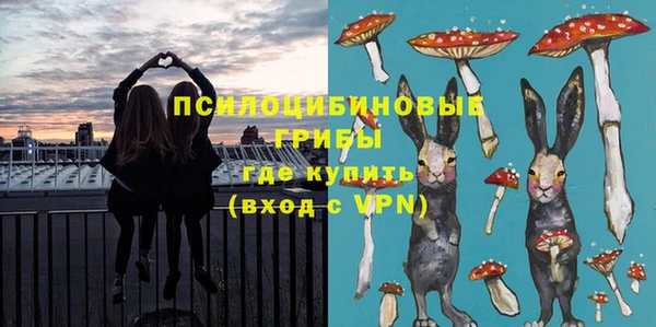 хмурый Дмитровск