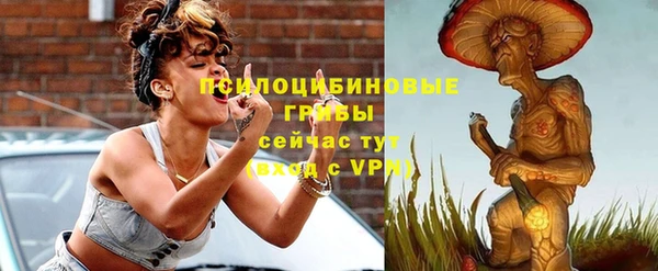 марки nbome Дмитриев