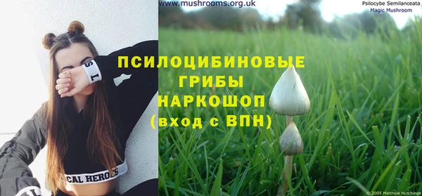 хмурый Дмитровск