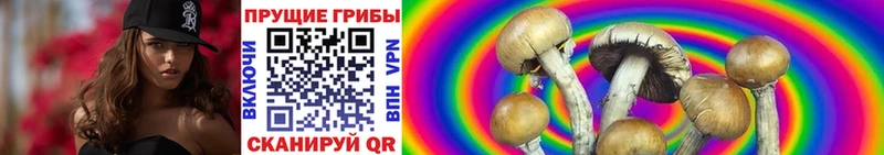 Купить закладки  Инта  Галлюциногенные грибы мухоморы 